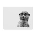 Trademark Fine Art Let Your Art Soar 'Meerkat Line Art' Canvas Art, 18x24 ALI42509-C1824GG